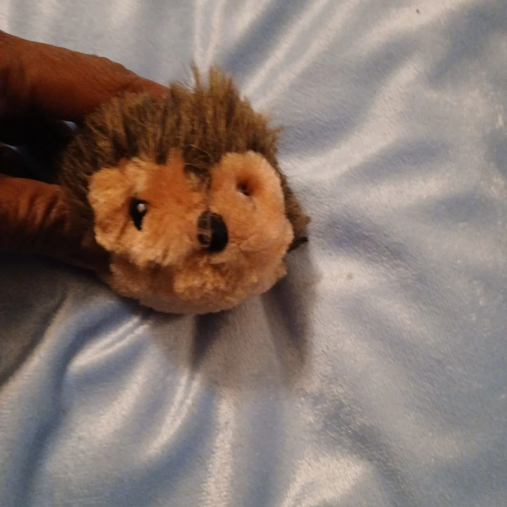 2/$5 Brown the porcupine